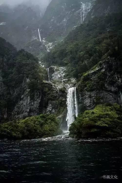萌宠大连接